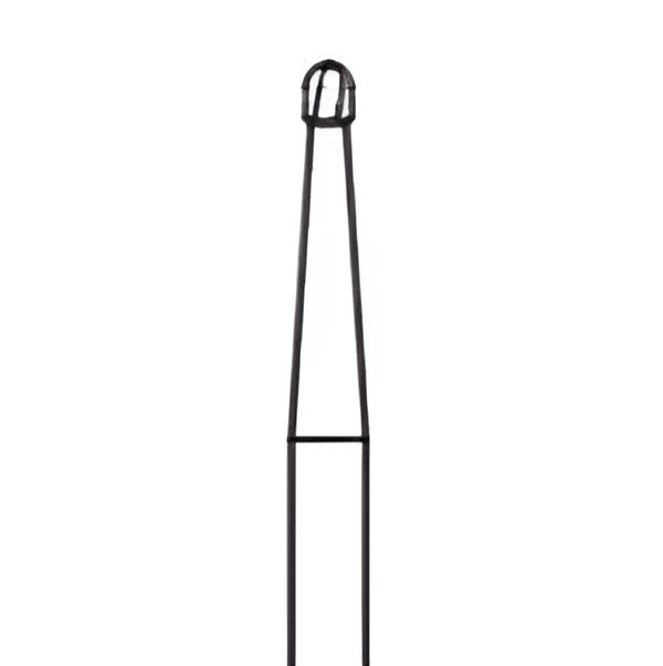 DENTCITY FG1 RA 2